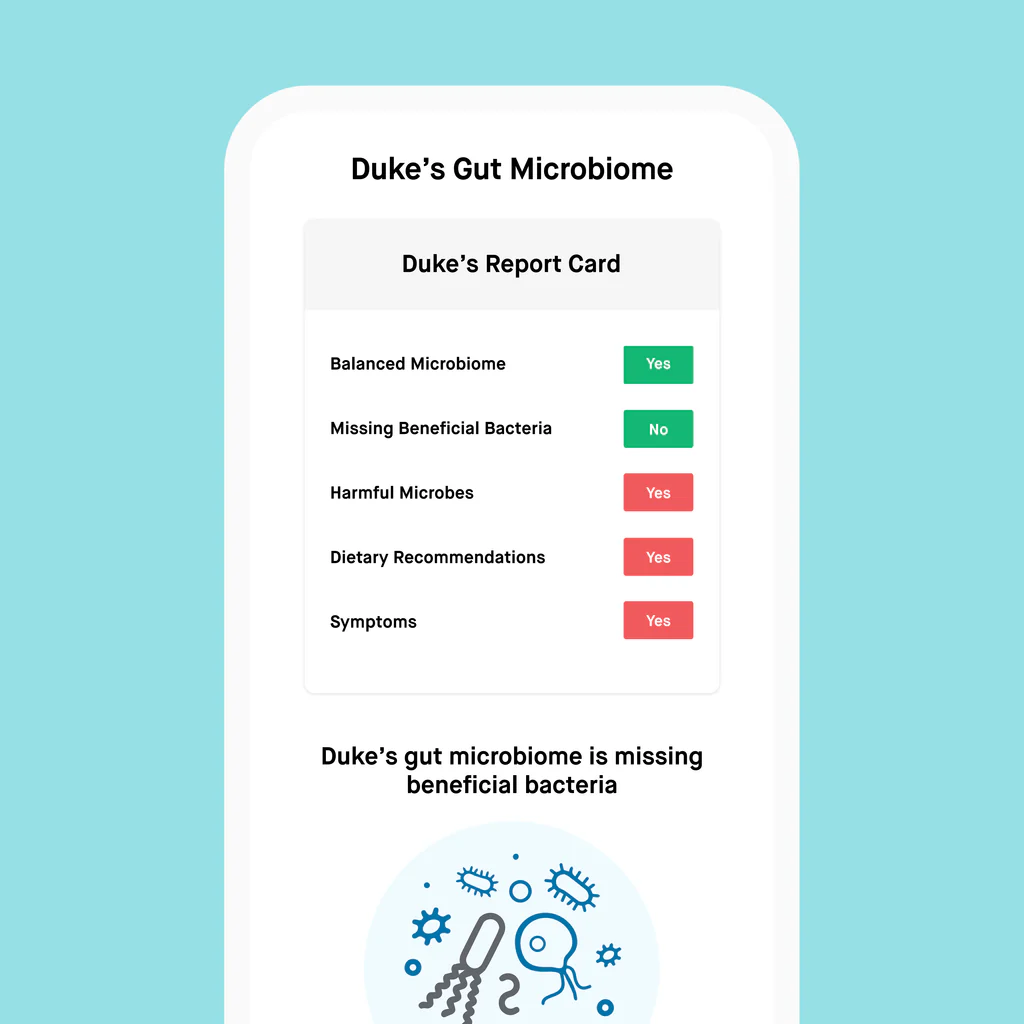 Gut Health Test Powered by AnimalBiome