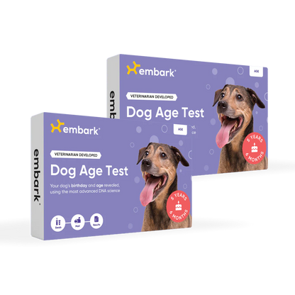 Dog Age Test