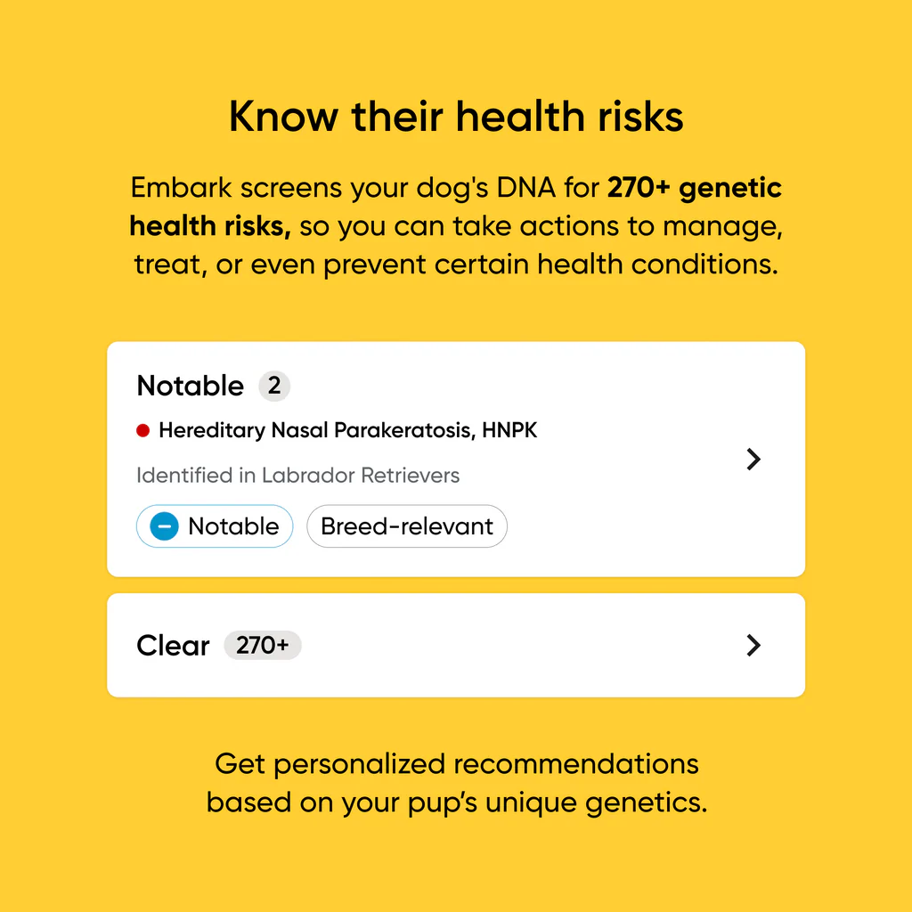 Embark Dog DNA Test