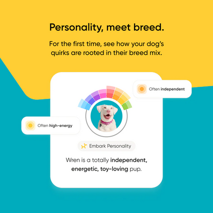 Embark Dog DNA Test